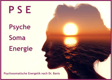 P S E Psyche Soma Energie Psychosomatische Energetik nach Dr. Banis